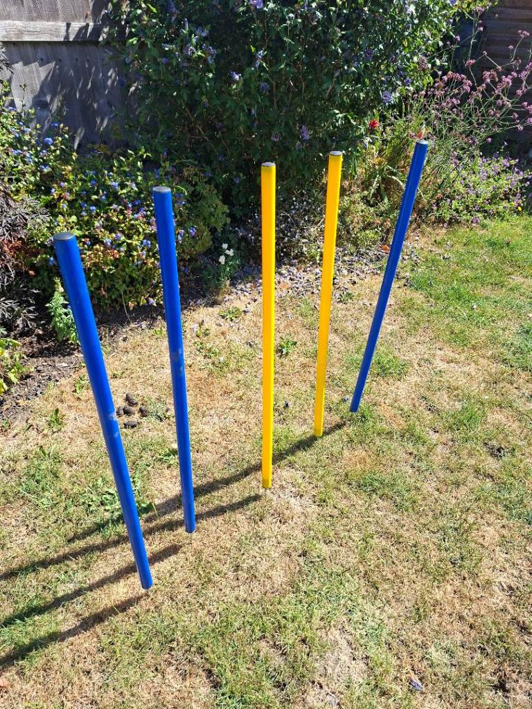Dog.agility equipment 