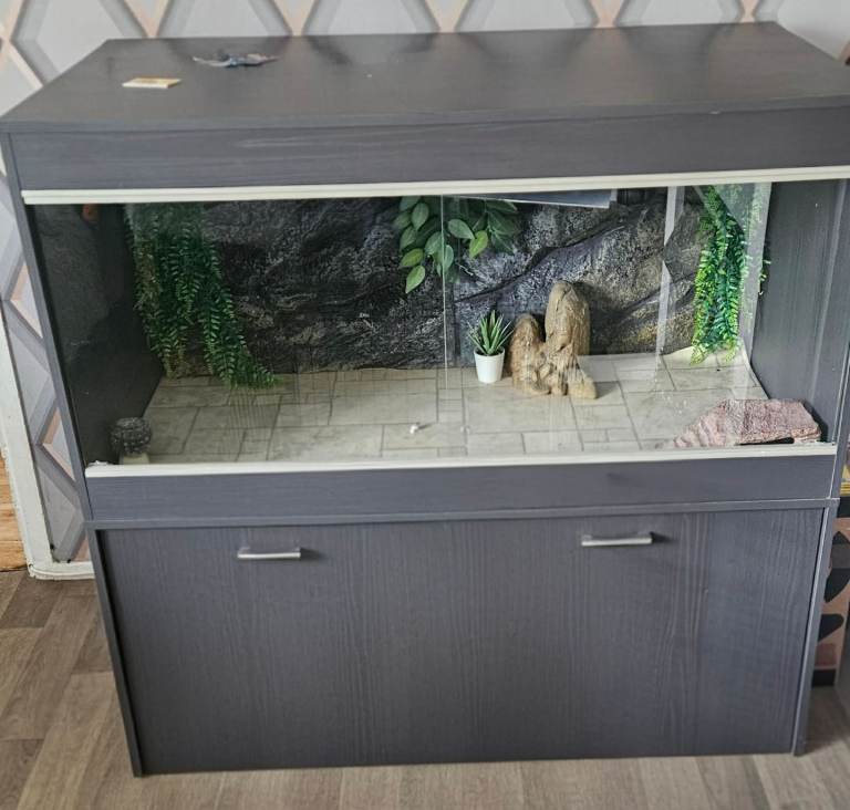 Reptile vivarium with accessories