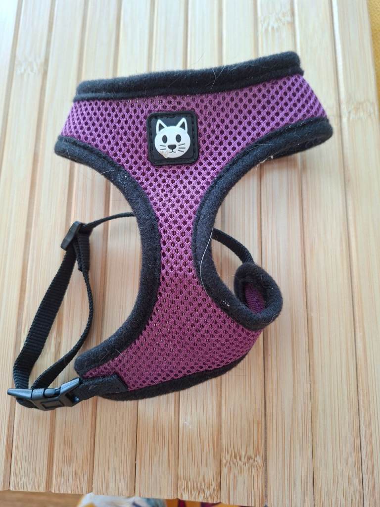 Pet harness 