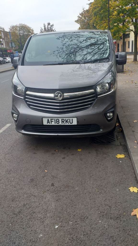 Vauxhall, VIVARO, Panel Van, 2018, Manual, 1598 (cc)