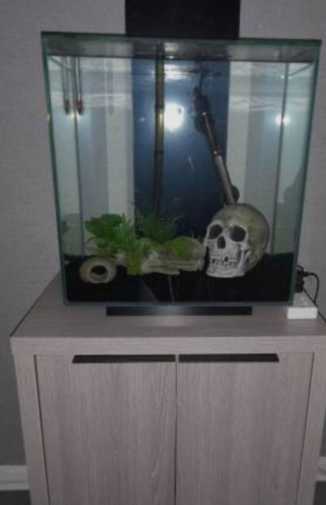 Fluval edge 46l tank with cabinet