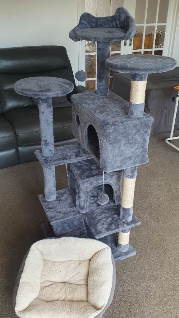 Kitten or Cat activity stand