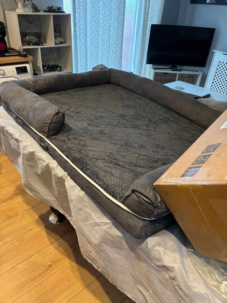 New Dog bed 