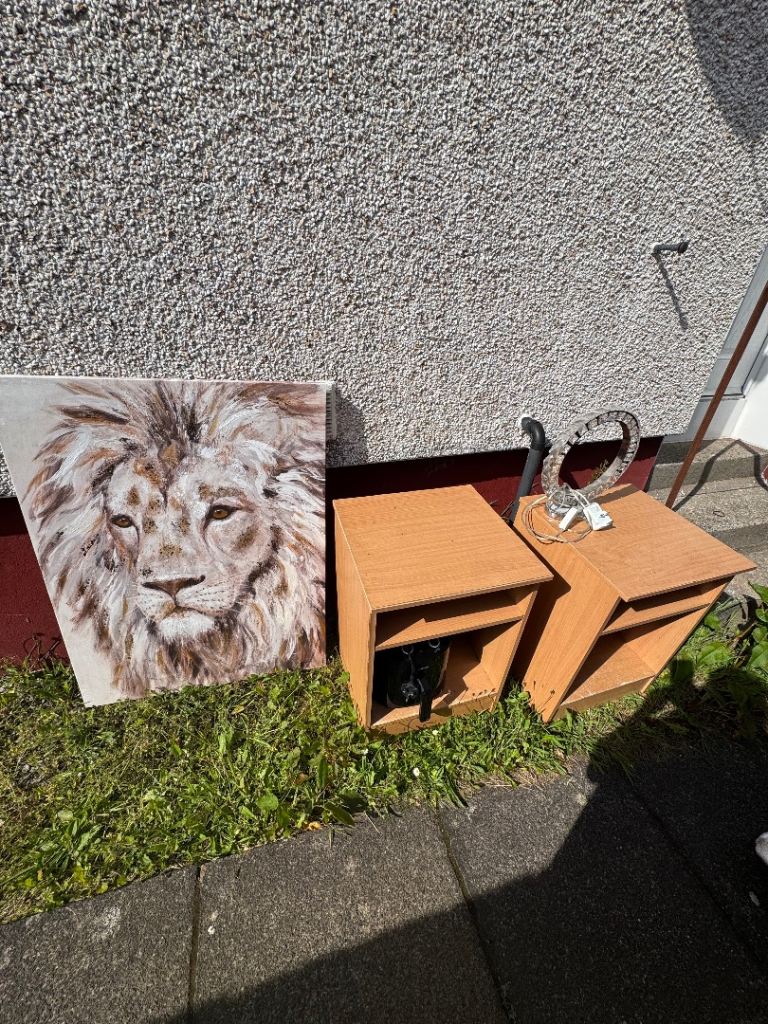 Pair of Wooden Bedside Tables next lamp lion canvas 