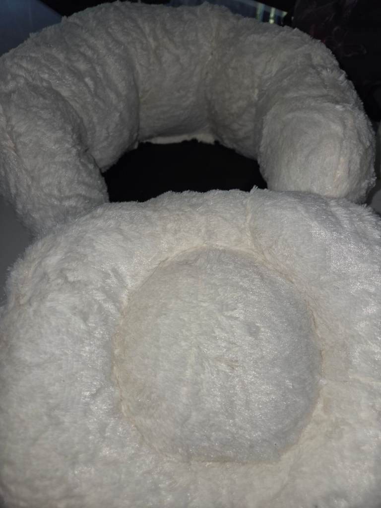 Kitten bed, microwaveable removable pad and harness used to introduce to the garden 