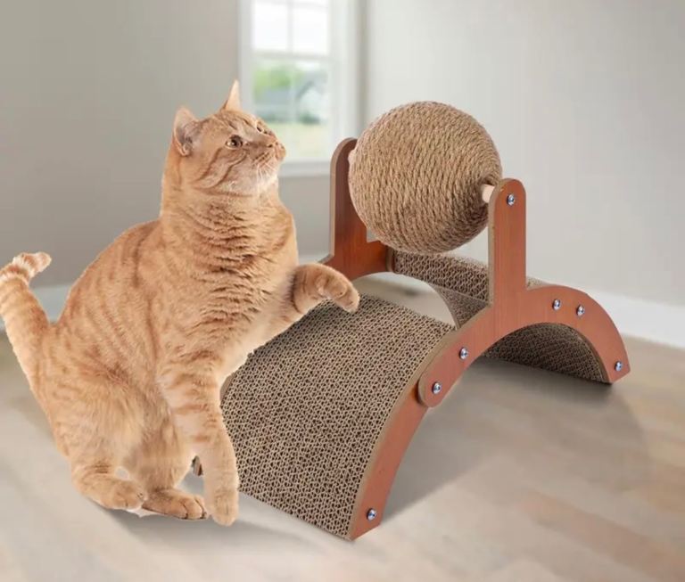 cat scratcher cat toy