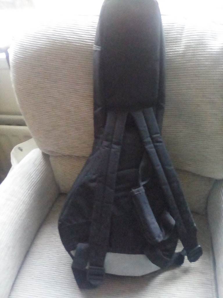 Left. Handed mandolin