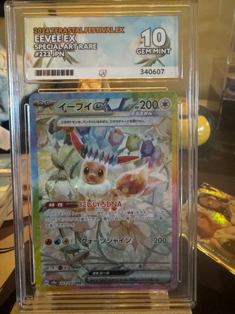 Pokemon - Eevee Slabs