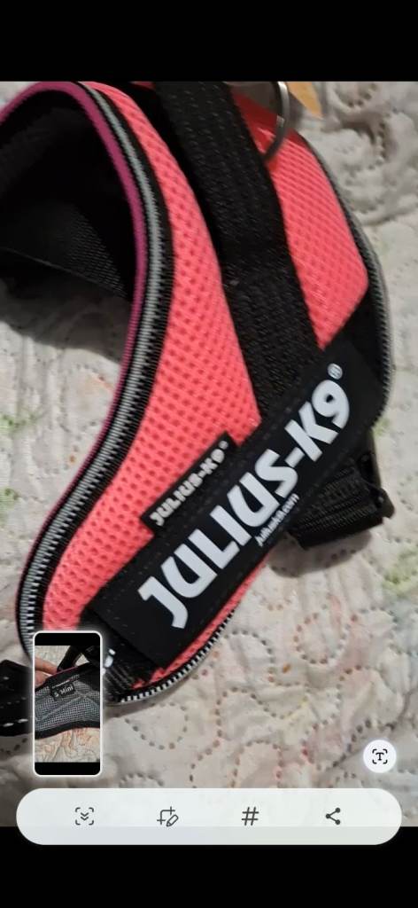 Julius k9 harness BRAND NEW WITH TAGS
