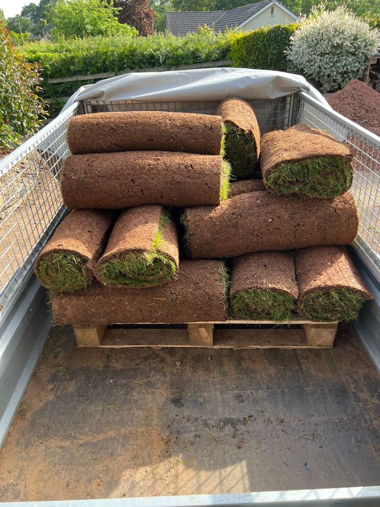 Grass Turf For Sale