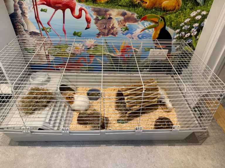 Indoor Grey Cage - Rabbit & Guinea Pig Home £40 