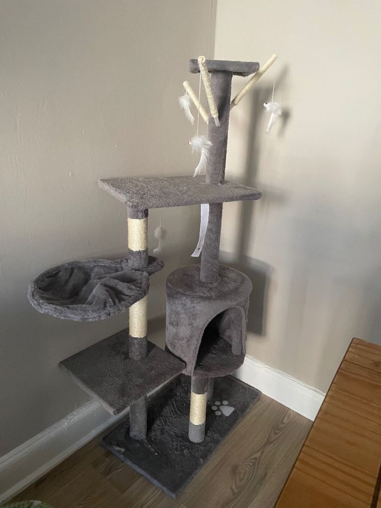 Cat tree!