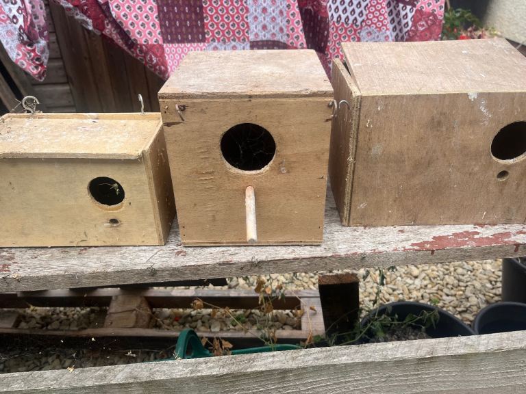 Wooden bird box 