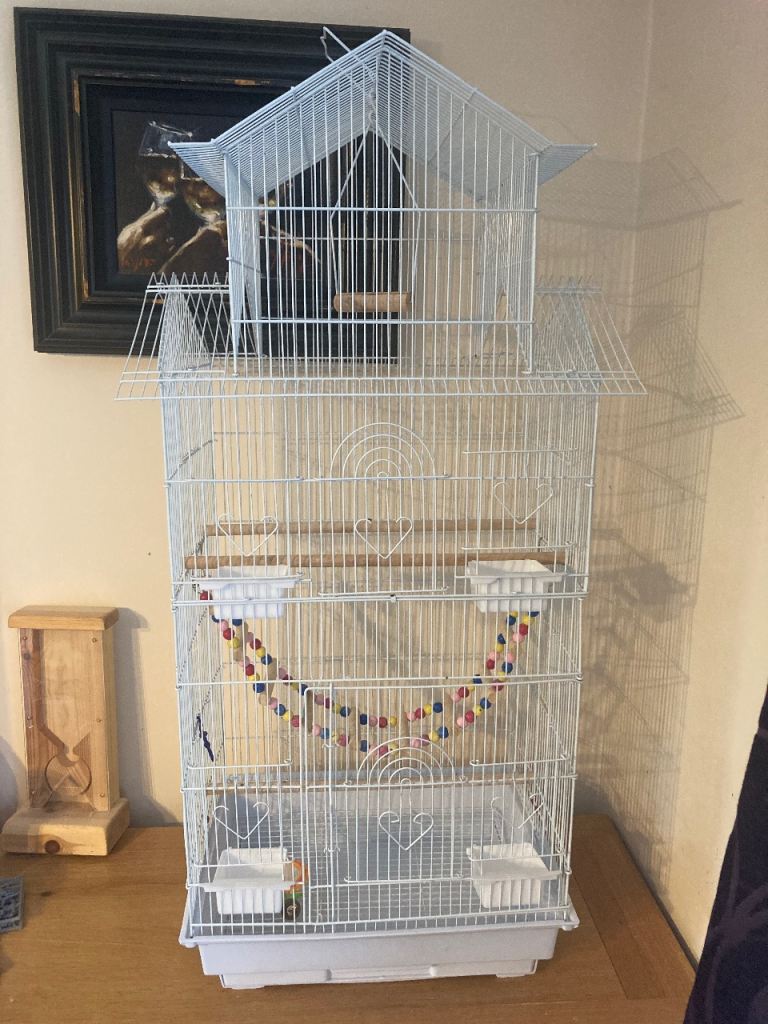 Tall white bird cage