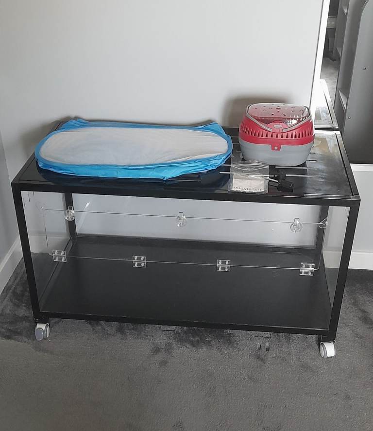 *BARGAIN £40* BUCATSTATE Hamster Enclosure + FREE items.