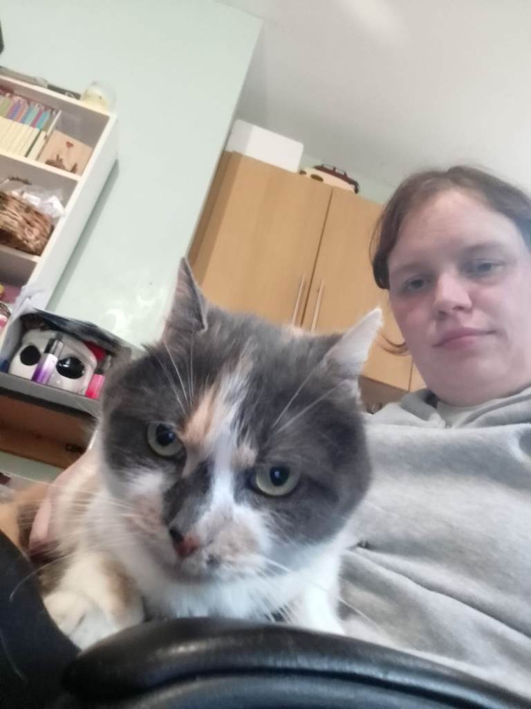 Both cats in desperate need of rehoming as owner too ill too look after them due to ill health 