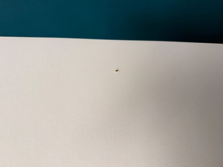 IKEA Lunnarp side tables x2