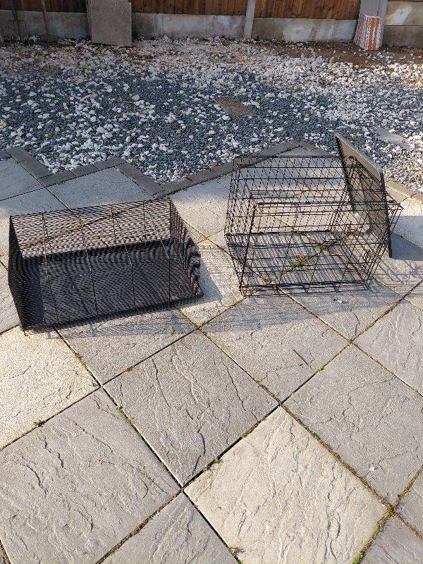 Small dog cage and hamster cage
