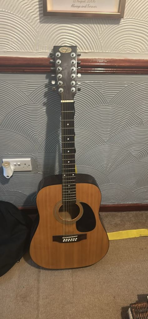 Stagg 12 string guitar 