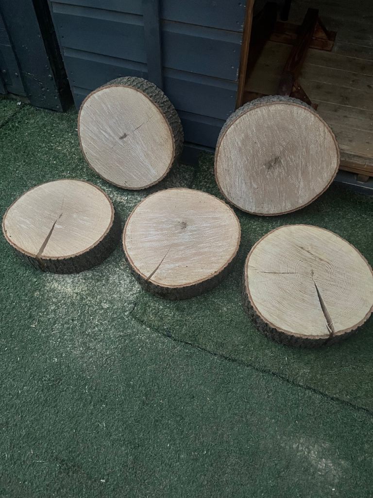 Freebies wood slices 