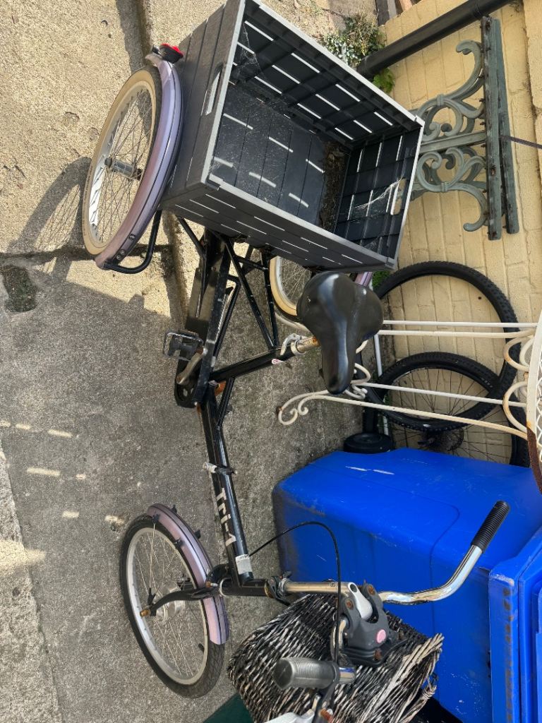Tri 1 Trike bike good working order with carrier