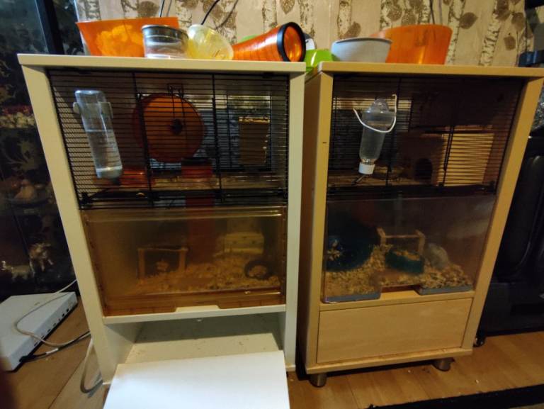 Hamster cage pair