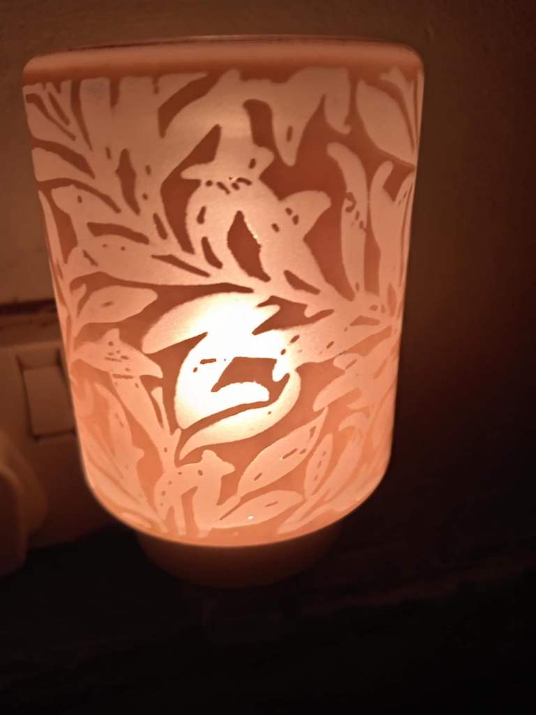 Scentsy plug in warmer brand new Wispy willow