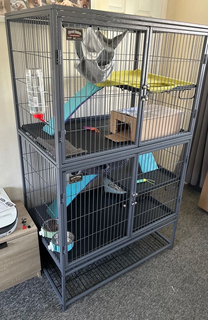 Double Ferret nation cages x2