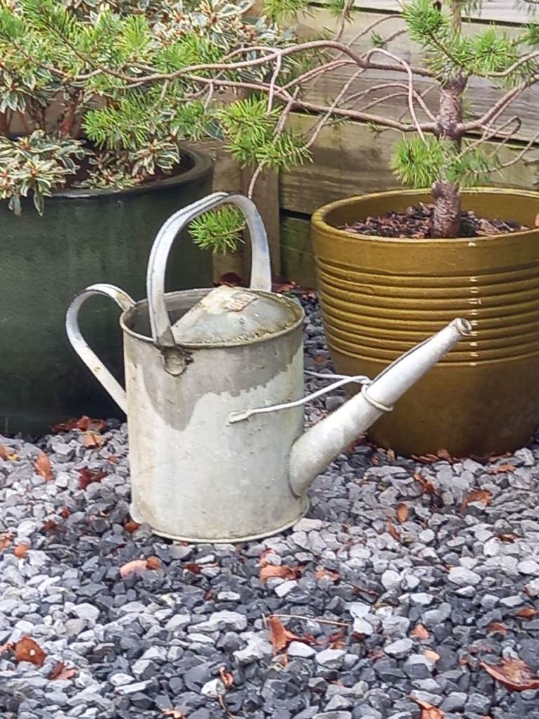 Lovely old Ali watering can.