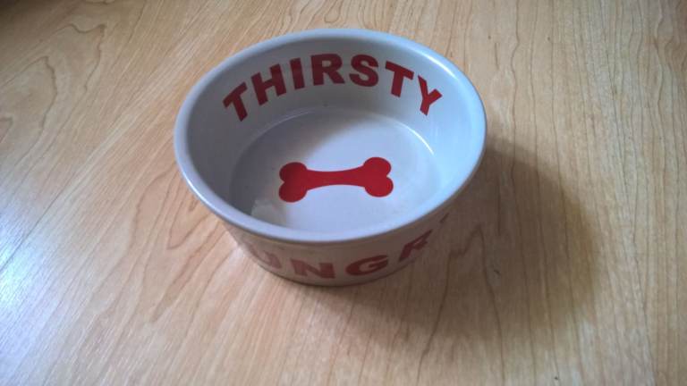 ''Fidos Diner'' Stoneware Dogs Bowl,