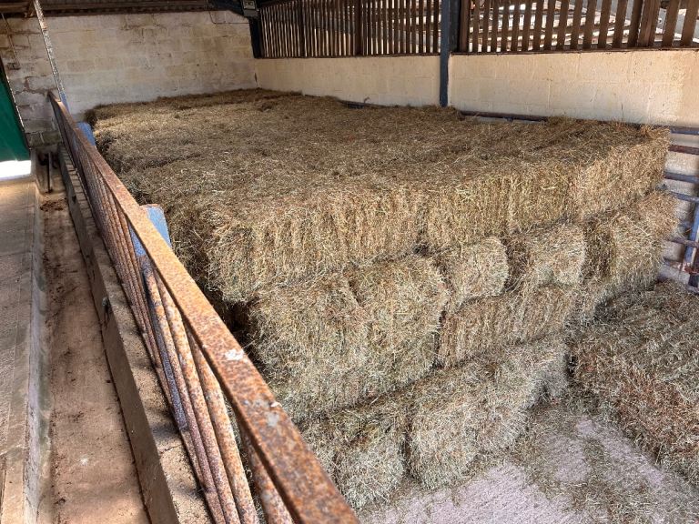 Square hay bales