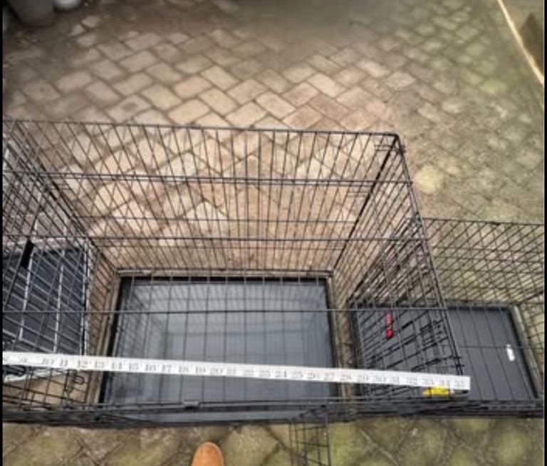 Various sizes dog crates