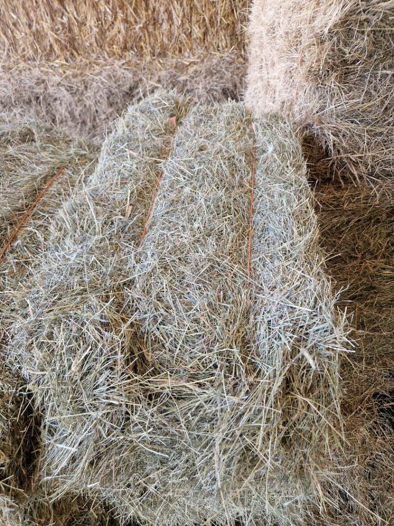 Meadow Hay, Timothy Hay and Straw For Sale