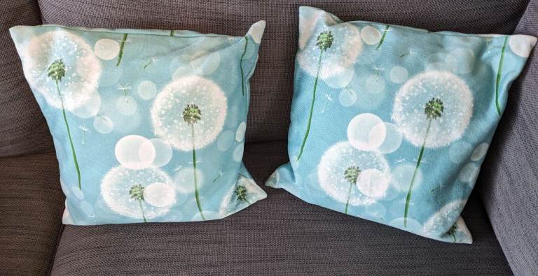 2 cushions - free