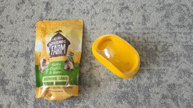 Hamster bathing sand and pit