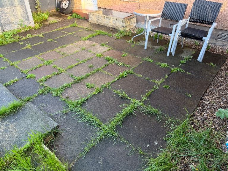 Garden Tidy-Ups