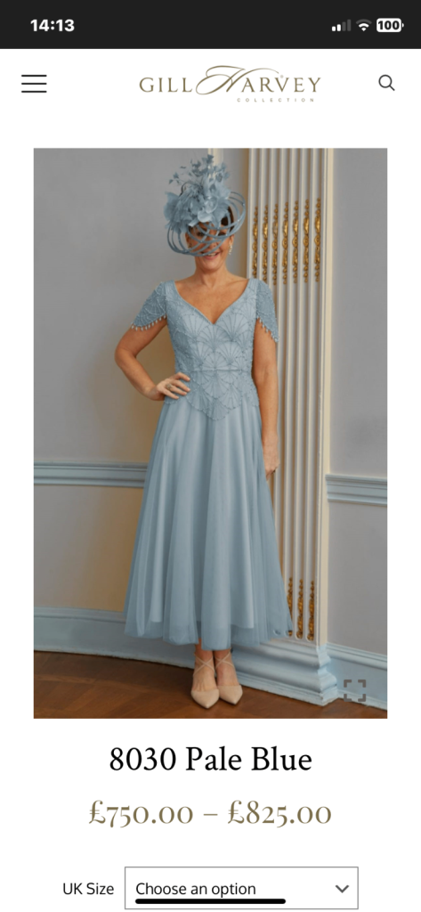 Mother of the bride dress 