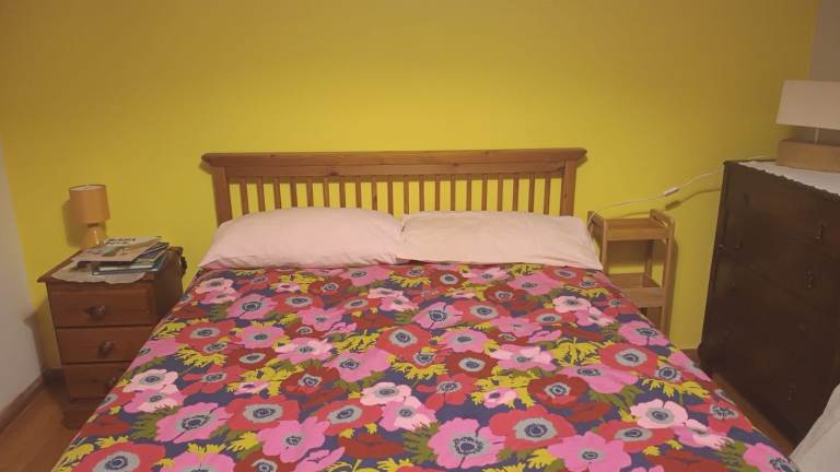 Large bright room in neat house with two gardens and many  birds. 