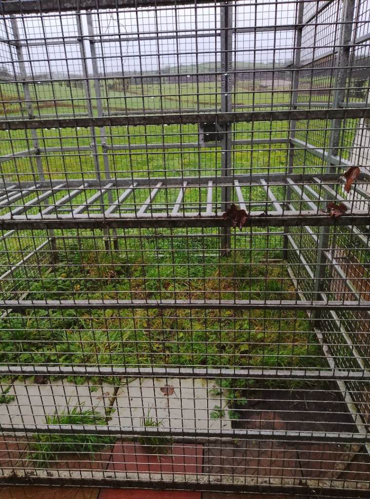 Large heavy duty cage