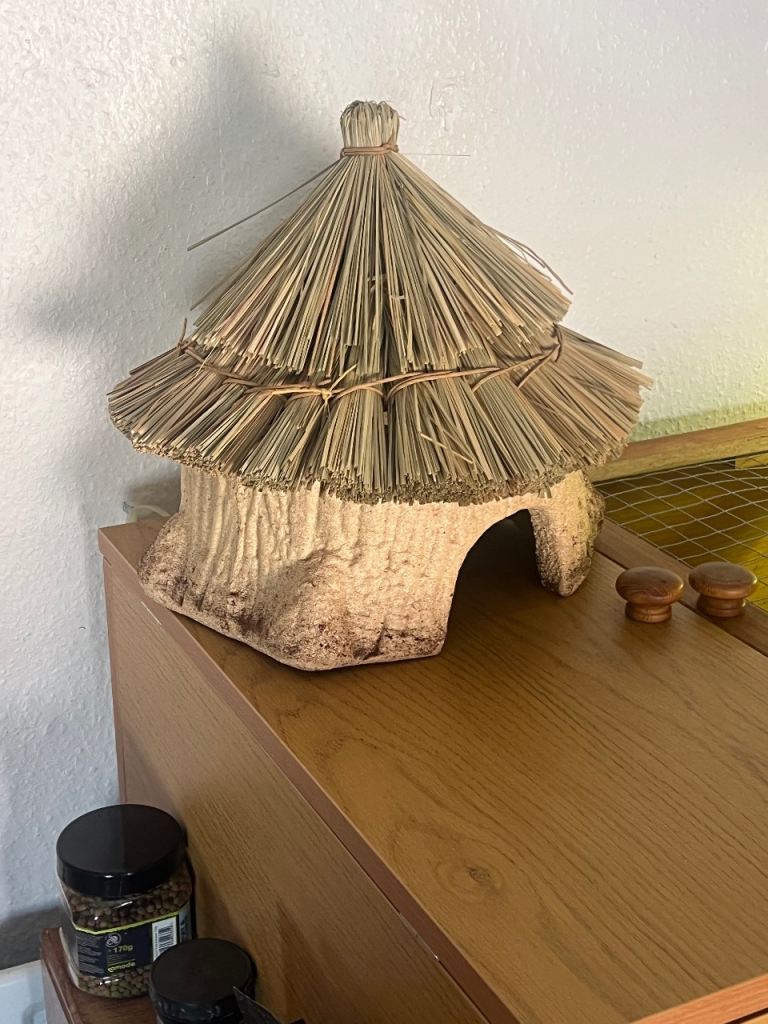 Rat or gerbil house