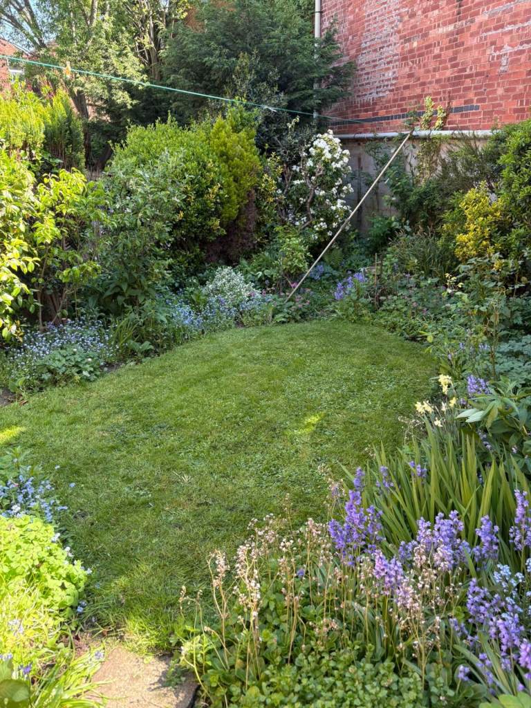 Gardening - Lawn Mowing, Grass & Hedge cutting, Pruning, Weeding, Planting, Garden Clearance