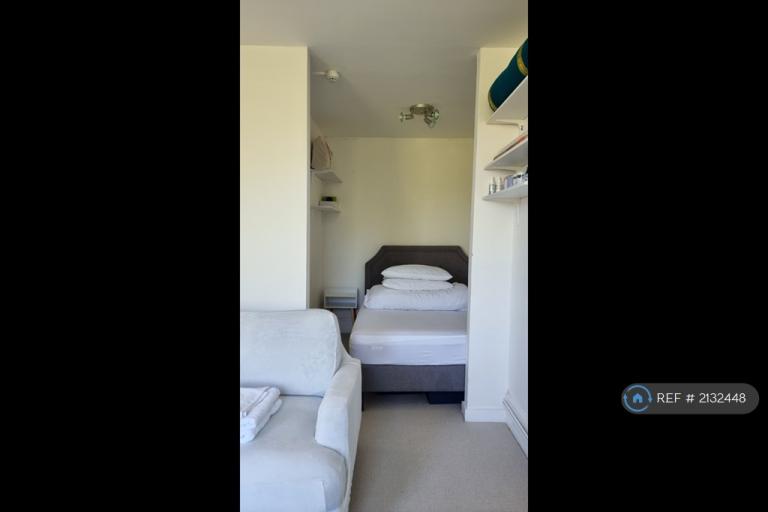 Studio flat in Extra Large Bright Studio, London, SE20 (#2132448)