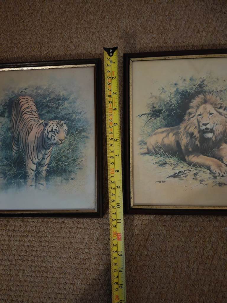 Tiger and lion print