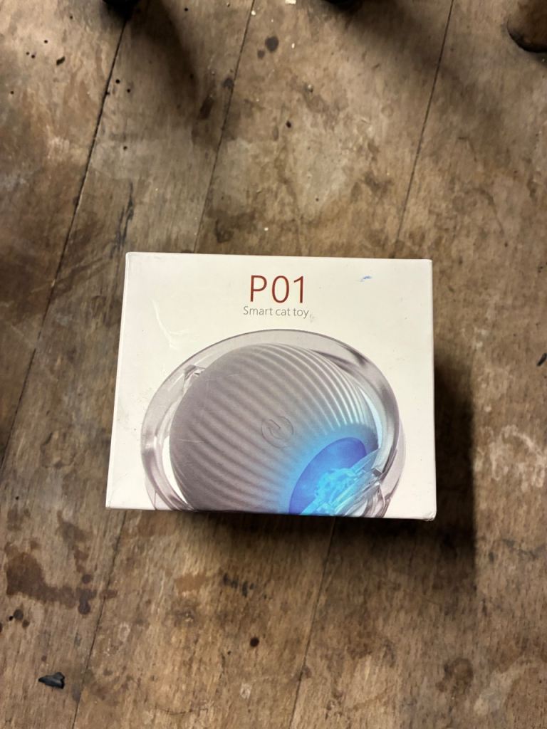 P01 smart cat toy