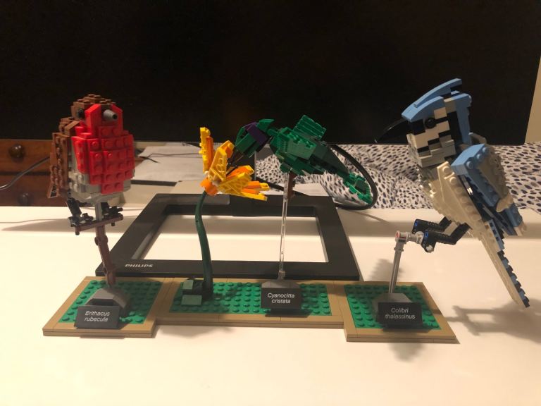 Lego Birds 