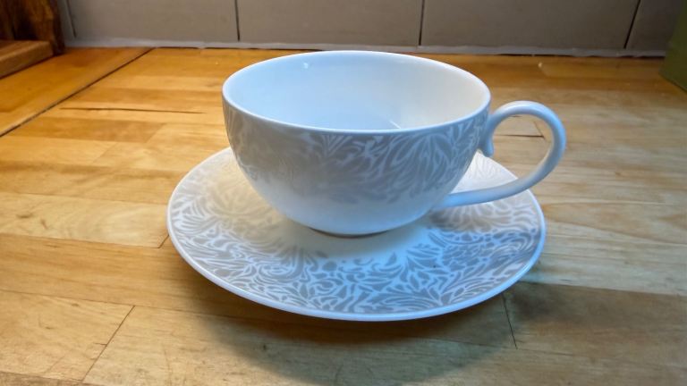 Denby Monsoon Home White & Grey Teacup and Saucer Set