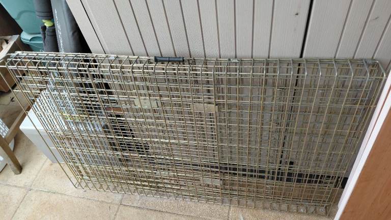 Large dog crate