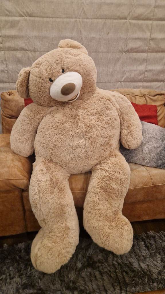 *FREE* LARGE TEDDY BEAR 