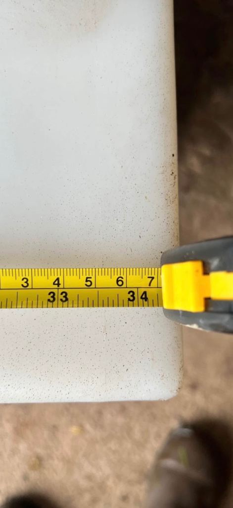 Sheep goat or calf feeder 