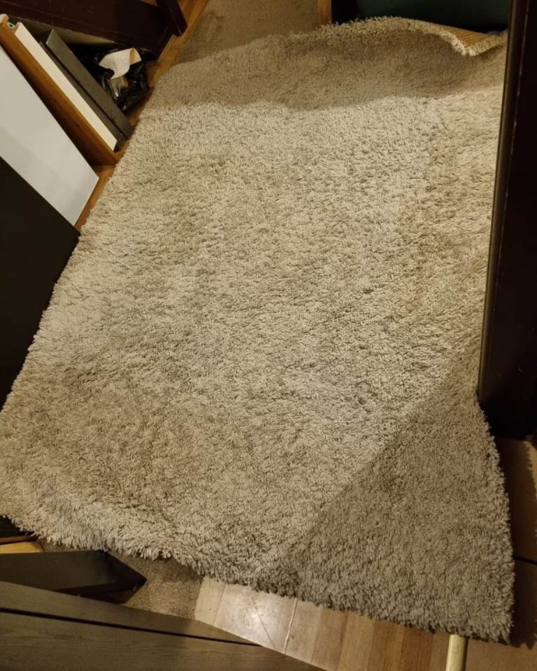 Large shaggy cream rug